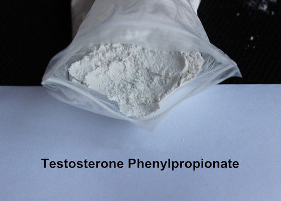 Natural Testosterone Phenylpropionate Men Muscle Gain Supplements For Body Building CAS 1255-49-8