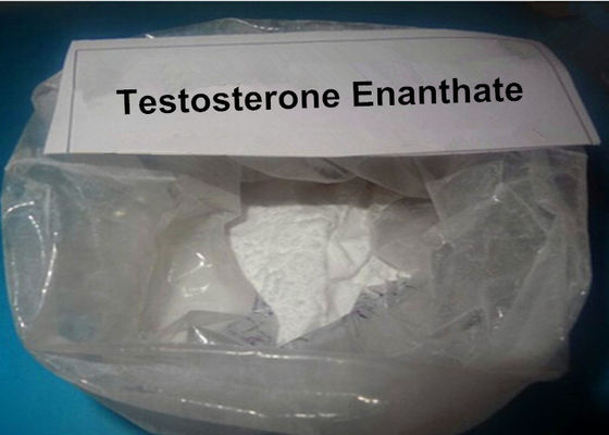 Raw Steroids Powder Weight Loss Testosterone Enanthate Increase Muscle Mass 250mg