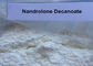 Legal Deca Durabolin Steroids Powder Nandrolone Decanoate For Muscle Enhancement